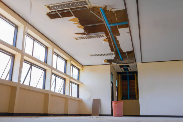 Best Water damage contractors near me  in Rancho Santa Fe, CA
