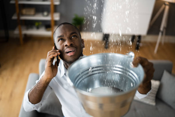 Best Water damage cleanup near me  in Rancho Santa Fe, CA