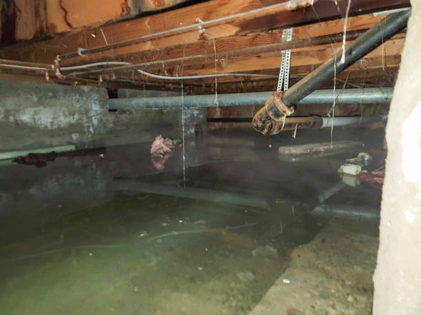 , CA Water damage restoration Company