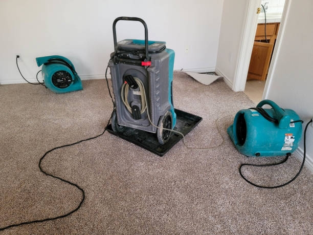 Best Fire Damage Restoration  in Rancho Santa Fe, CA