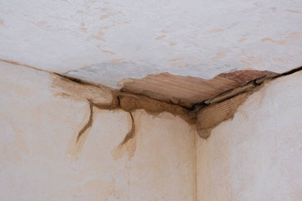 Best Flood restoration services  in Rancho Santa Fe, CA
