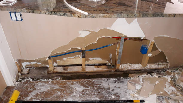 Best Local water damage restoration  in Rancho Santa Fe, CA