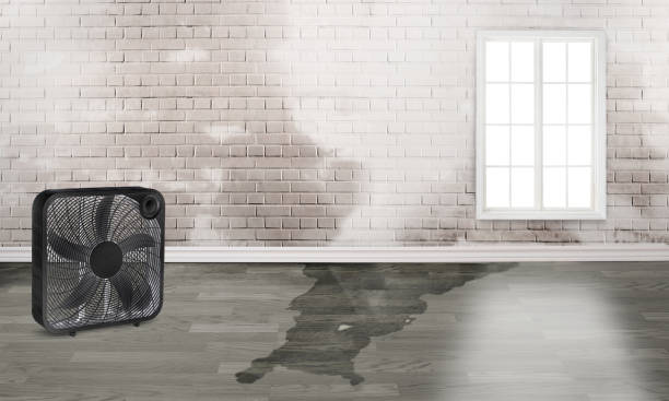 Best 24-hour water damage restoration  in Rancho Santa Fe, CA