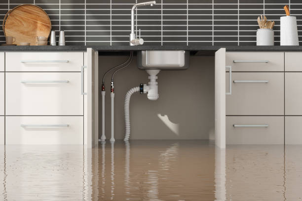 Best Carpet water damage restoration  in Rancho Santa Fe, CA