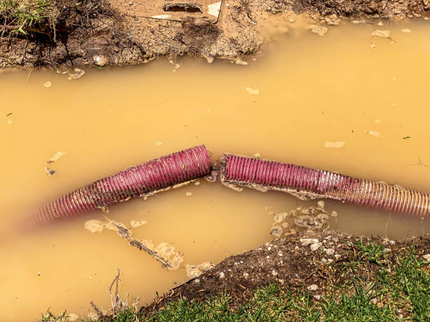 Best Water damage restoration near me  in Rancho Santa Fe, CA